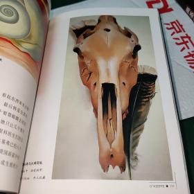 沙漠中的花朵：奥基弗