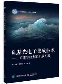 硅基光电子集成技术――光波导放大器和激光器