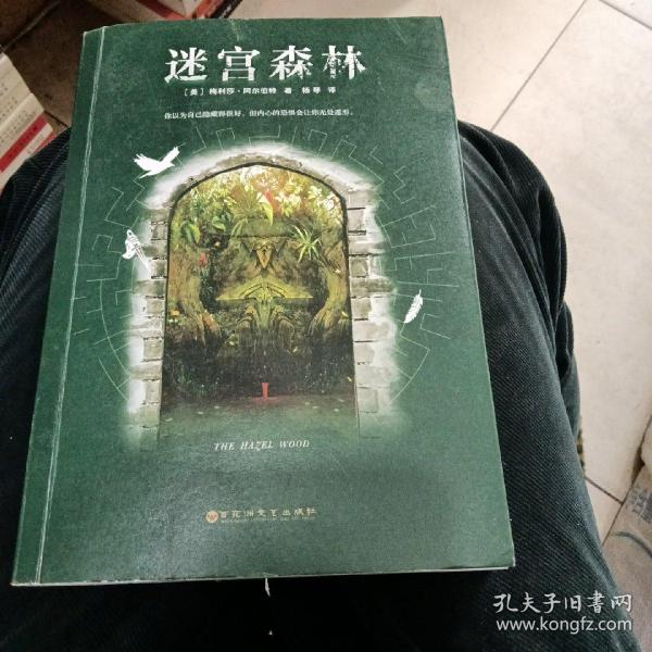 迷宫森林（跟《神奇动物在哪里》《爱丽丝梦游仙境》一样风靡欧美的奇幻力作！你以为自己隐藏得很好，但内心的恐惧会让你无处遁形。）