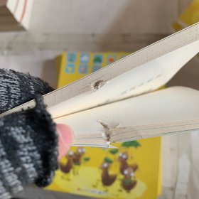 快乐的小太阳(有掉色,磕碰,褶皱书皮略小,裁剪不齐,破损等瑕疵如图,随机发货!内容完好无缺没有使用过)