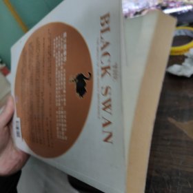 黑天鹅：如何应对不可知的未来