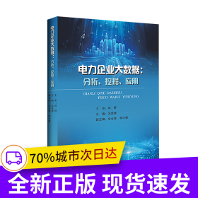 電力企業(yè)大數(shù)據(jù)：分析、挖掘、應用