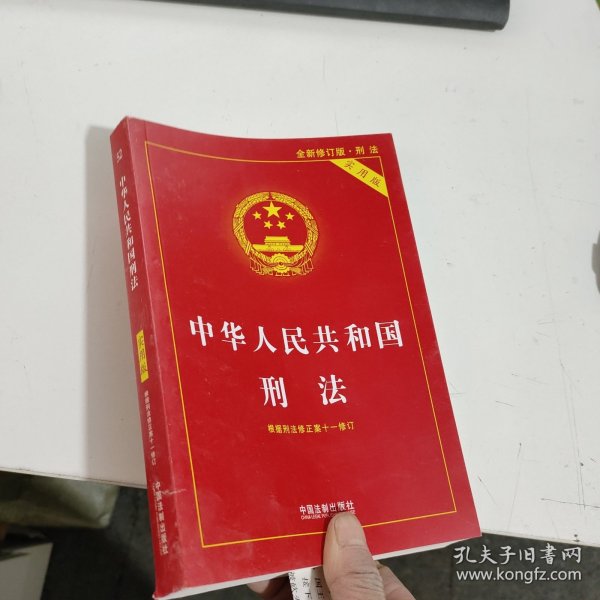 中华人民共和国刑法（实用版）（根据刑法修正案十一修订）