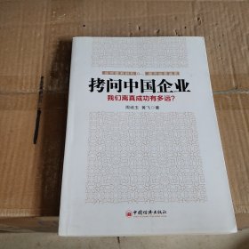 拷问中国企业 : 我们离真成功有多远？