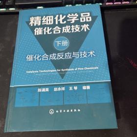 精细化学品催化合成技术（下册）：催化合成反应与技术