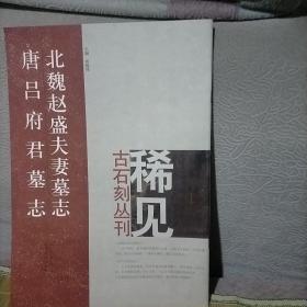 稀见古石刻丛刊：北魏赵盛夫妻墓志 唐吕府君墓志