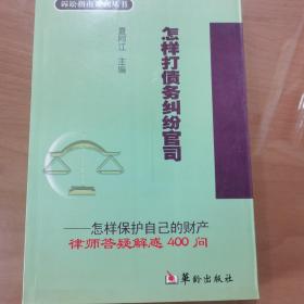 怎样打债务纠纷官司·怎样婚姻继承官司·怎样打劳动纠纷官司（全三册）