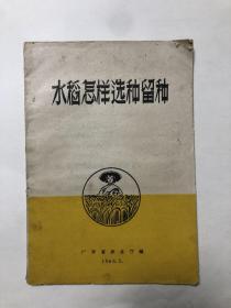 水稻怎样选种留种（广东省农业厅编 1963年）