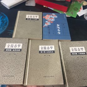 金陵春梦（5本合售）