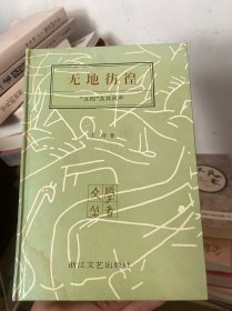 无地彷徨：“五四”及其回声