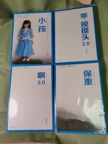 大冰新书4本 正版啊2.0 乖摸摸头2.0 小孩 保重 大冰作品4册 焉冰作品 大冰的小屋