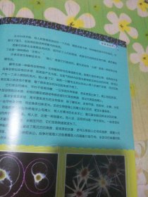 百科探秘 海底世界 2012.03