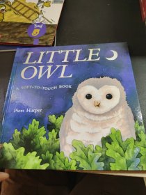 LITTLE OWL 儿童绘本（外文书）
