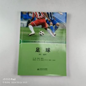 【正版二手】足球王洪祥9787303090075北京師范大學出版社