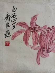 齐良迟（1921年—2003年），字子长，1921年生于湖南湘潭，著名画家，系齐白石第四子。十岁起在其父指导下学习中国画的传统技法，二十四岁毕业于北京辅仁大学美术系，继而从事美术教育工作。后遵周恩来嘱托，辞职专门侍奉白石老人并研习“齐派”绘画艺术。