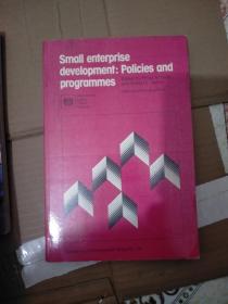 Small enterprise
development: Policies and programmes