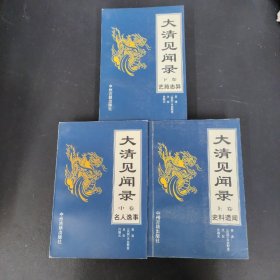 大清见闻录（上中下册 全三册 3本合售）