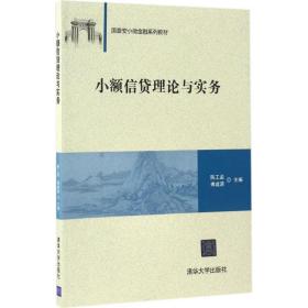 【正版新书】 小额信贷理论与实务 陈工,傅源 编 清华大学出版社