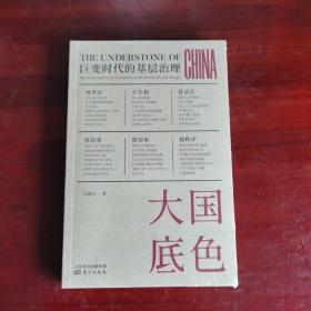 大国底色：巨变时代的基层治理