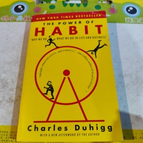 The Power of Habit: Why We Do What We Do in Life and Business习惯的力量 英文原版