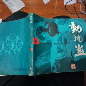动物画(13顶)