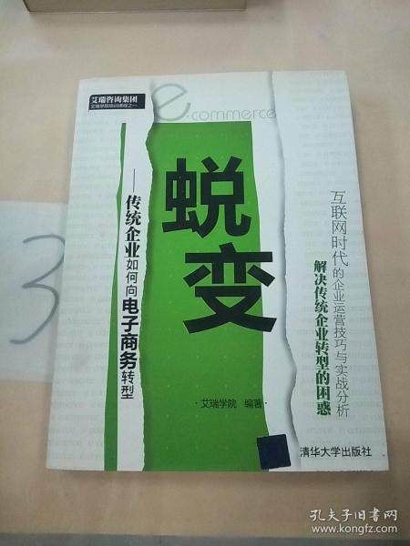 蜕变：传统企业如何向电子商务转型