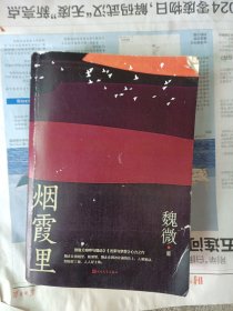 烟霞里（鲁迅文学奖魏微全新长篇小说，抒写一个时代下女主繁茂又寂静的匆匆一生）