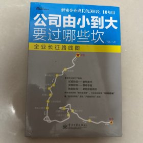 公司由小到大要过哪些坎：—解密创业企业成长经营3阶段、10基因；宋新宇推荐“能长大的企业是有规律的，中小企业的成长地图”； 7大本土全景案例.博瑞森