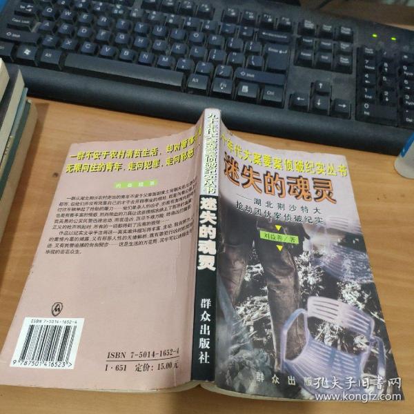 迷失的魂灵--湖北荆沙特大抢劫团伙案侦破纪实