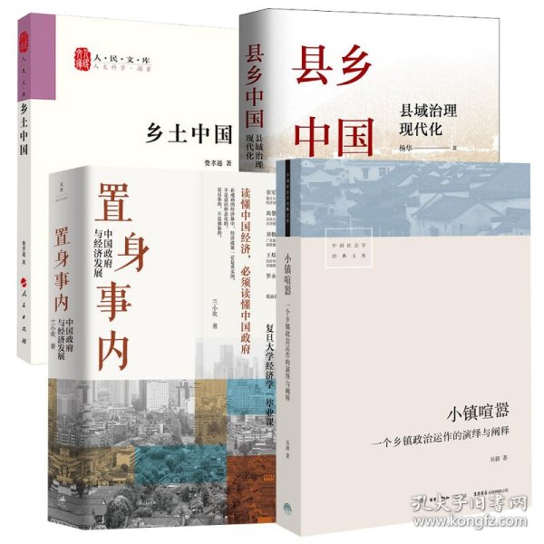 置身事内：中国政府与经济发展（罗永浩、刘格菘、张军、周黎安、王烁联袂推荐，复旦经院“毕业课”）