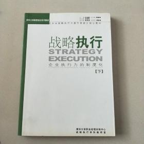 战略执行 企业执行力的制度化 下