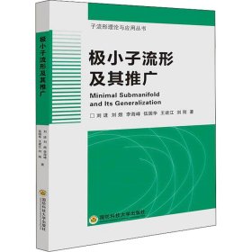 极小子流形及其推广