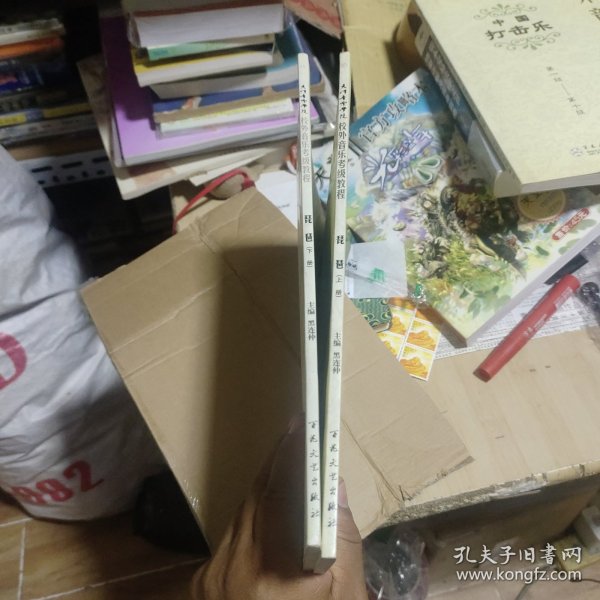 天津音乐学院校外音乐考级教程：琵琶（上下册）