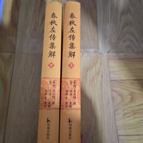 春秋左传集解（全二册） 简体横排大字版精装   李梦生整理   以《四部丛刊》影印的宋刻本为底本 参校1936年世界书局据清武英殿本影印的《春秋三传》