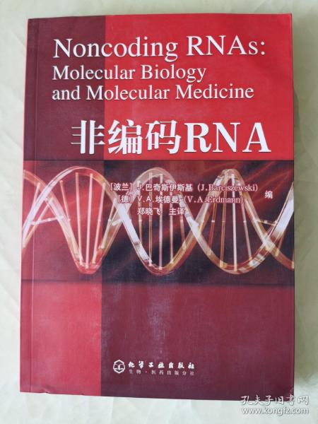 非编码RNA