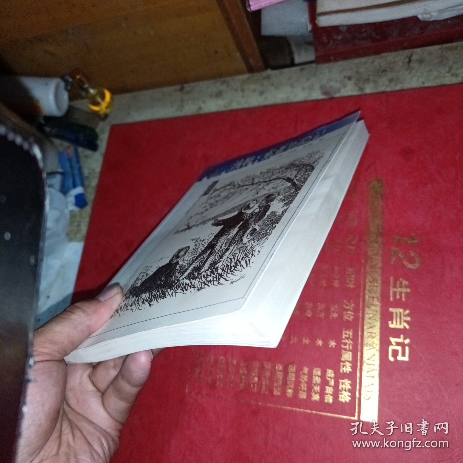 汤姆·索亚历险记