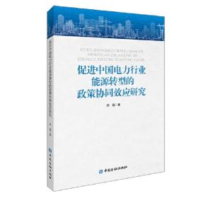 促进中国电力行业能源转型的政策协同效应研究