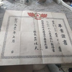 1955年天津市私立营门东小学毕业证书