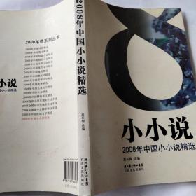 2008年中国小小说精选