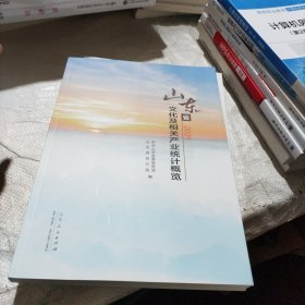 全新正版图书 山东省文化及相关产业统计概览21中共山东山东人民出版社9787209136587