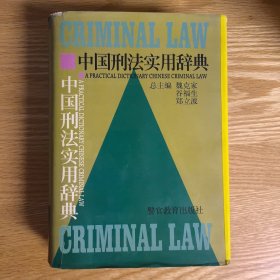 中国刑法实用辞典