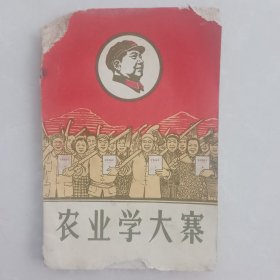 农业学大寨