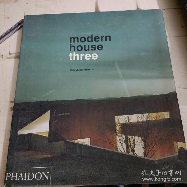 Modern house three