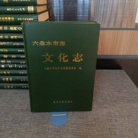 A3 .六盤水市志.文化志