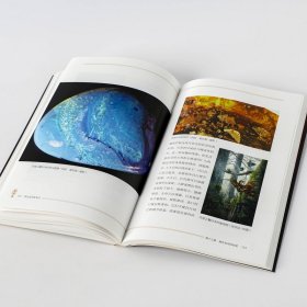 邢立达恐龙手记:琥珀篇