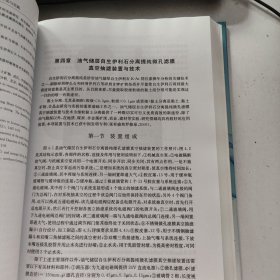 自生伊利石年代学研究：理论、方法与实践