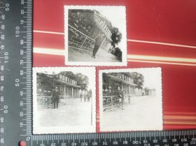 上海六零年代单人老照片旧照片(具体位置不详) 厂门上方是“伟大的领袖毛主席万岁” 3张合售