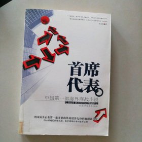首席代表（部海外商战小说）安之龙