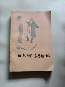 哈克贝里历险记