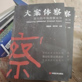 大案体察 前行的中国刑事法治